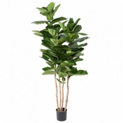Ficus lyrata artificiel