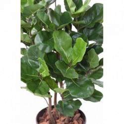 Lyrata artificiel feuillage