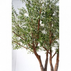 Tête olivier artificiel NC