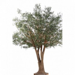 Arbre olivier artificiel