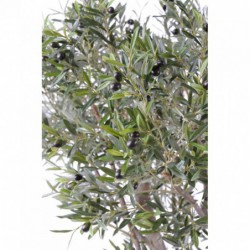 Feuillage qualitatif et résistant