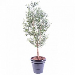 OLIVIER ARTIFICIEL LARGE