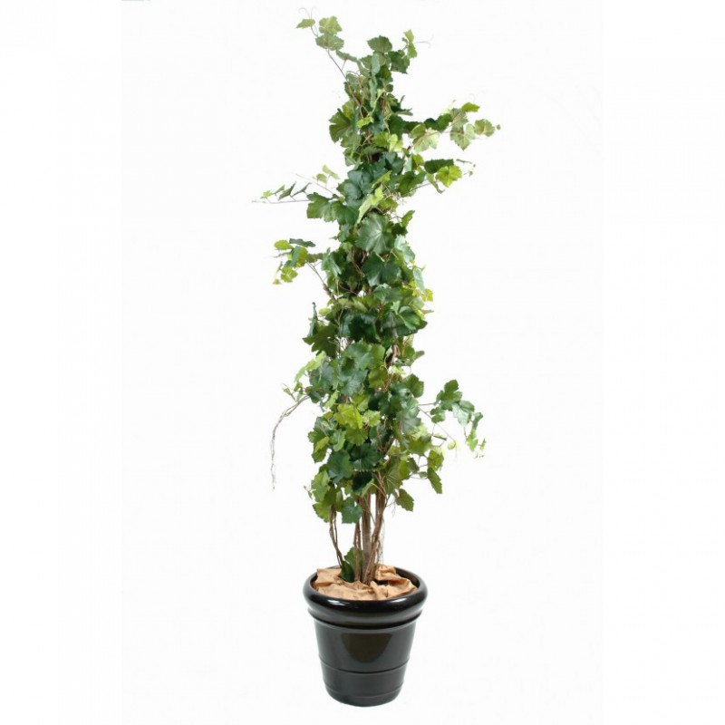 VIGNE ARTIFICIELLE TREE - 200(h)