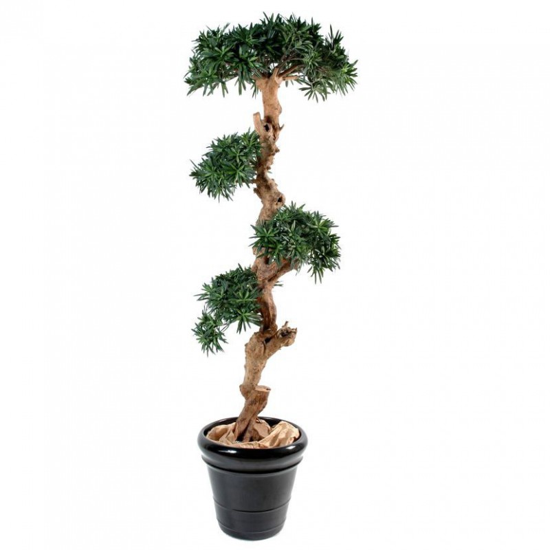 PODOCARPUS ARTIFICIEL NUAGE - 110(h)