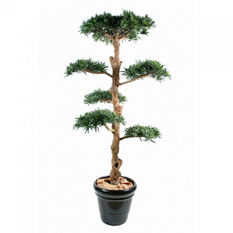 PODOCARPUS ARTIFICIEL NUAGE LARGE - 150(h)