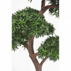 Podocarpus Artificiel Uv résistant