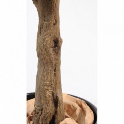 Oranger Artificiel Arbre