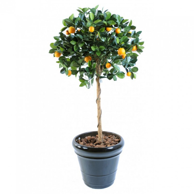 ORANGER ARTIFICIEL TETE