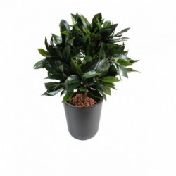 Laurier Artificiel Boule Luxe - 100(h) - Laurier synthétique