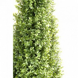 feuillage buis anti UV