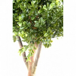 Buis Artificiel Tige Double Boule New - 170(h)