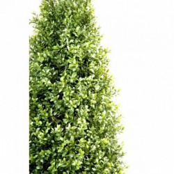 Buis Artificiel Topiaire New - 183(h)