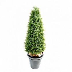 BUIS ARTIFICIEL TOPIAIRE NEW - 210(h)