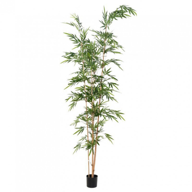 BAMBOU ARTIFICIEL ASSYMETRIQUE -  320(h)