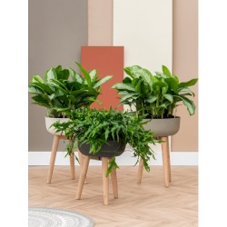 Pots sur pieds toutes les couleurs