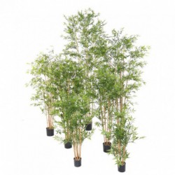 Bambou Artificiel Japanese Uv - 240(h)