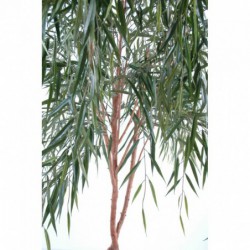 Arbre synthétique de qualité