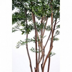 Tronc en bois véritable