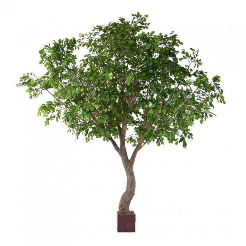 Chêne Artificiel S - 420(h)