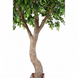 Tronc géant artificiel