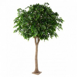 Hetre Artificiel Tete