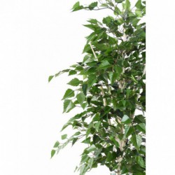 Bouleau Artificiel Tb - 180(h)