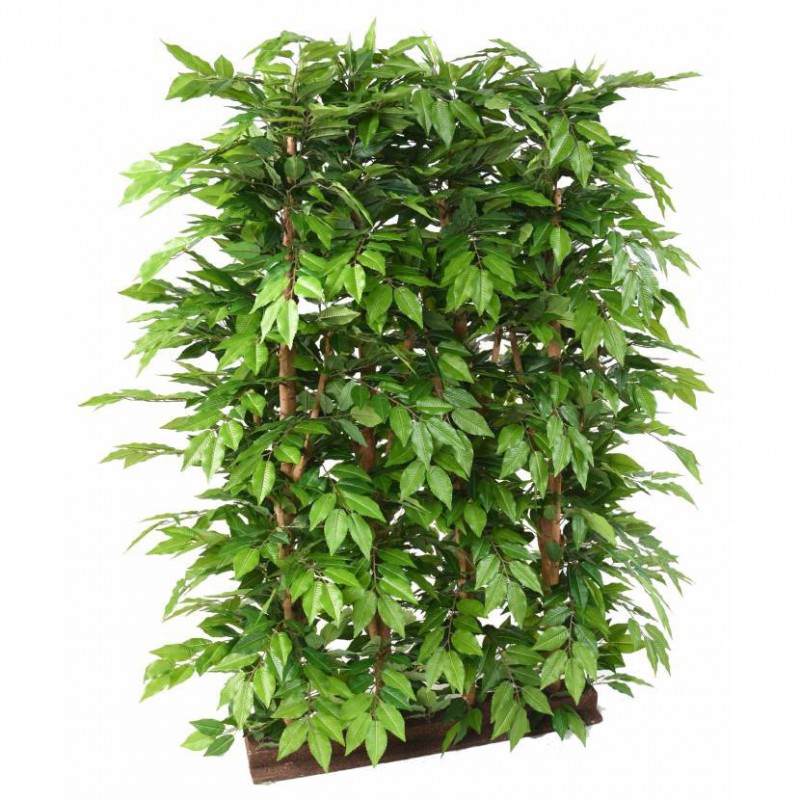 CHARME ARTIFICIEL HAIE