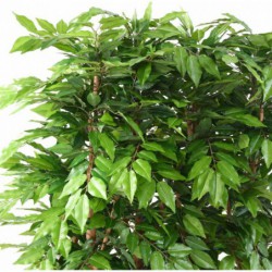 Charme Artificiel Haie