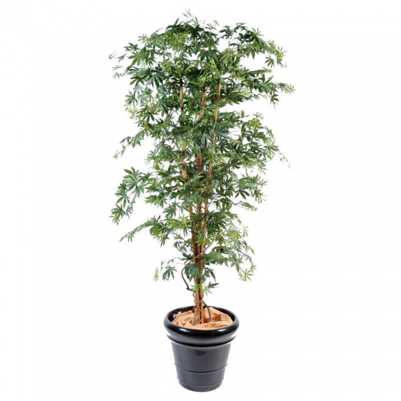 ARALIA ARTIFICIEL NEW VERT