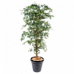 ARALIA ARTIFICIEL NEW VERT - 150(h)