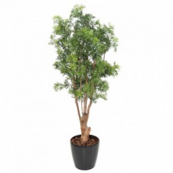ARALIA ARTIFICIEL MING NITIDA TN UV