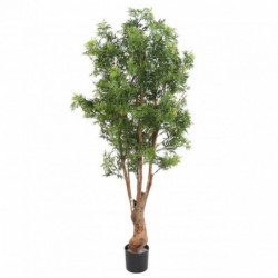 Aralia Artificiel Ming Nitida Tn Uv