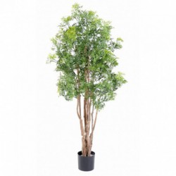 ARALIA ARTIFICIEL MING NITIDA