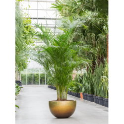 Coupe de fleur aspect métal