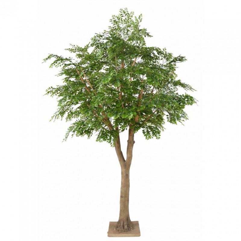 BUCIDA ARTIFICIEL - 300(h)