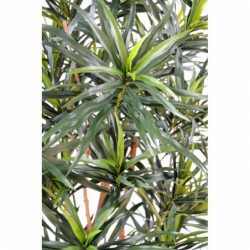 Dracaena Artificiel Anita