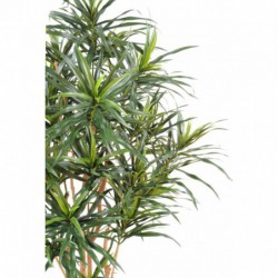 Dracaena Artificiel Anita - 180(h)