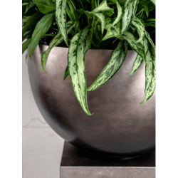 Finition métallique pot de fleur