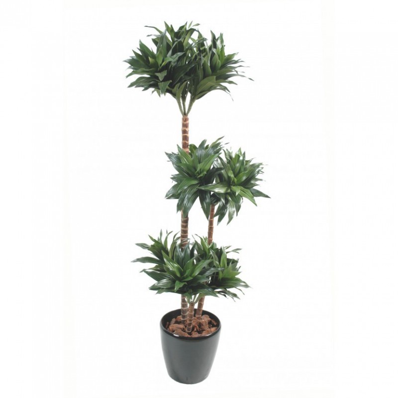 DRACAENA ARTIFICIEL FRAGRANS - 120(h)