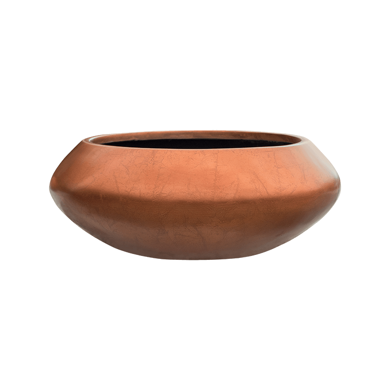 Coupe végétale pour intérieur