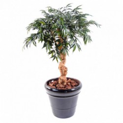 SHIRAKASHI ARTIFICIEL UMBRELLA