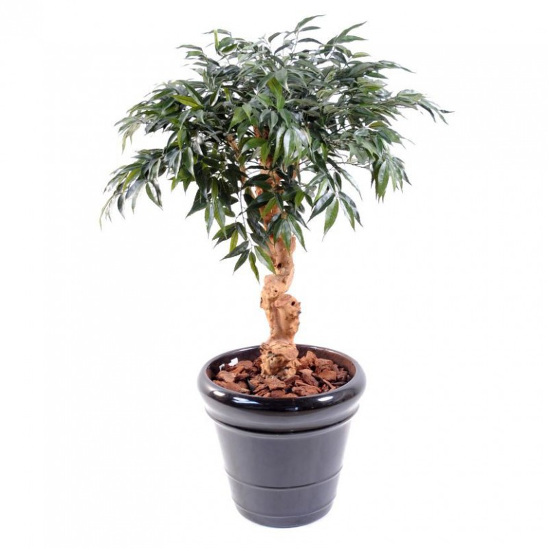 SHIRAKASHI ARTIFICIEL UMBRELLA