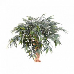 Shirakashi Artificiel Umbrella