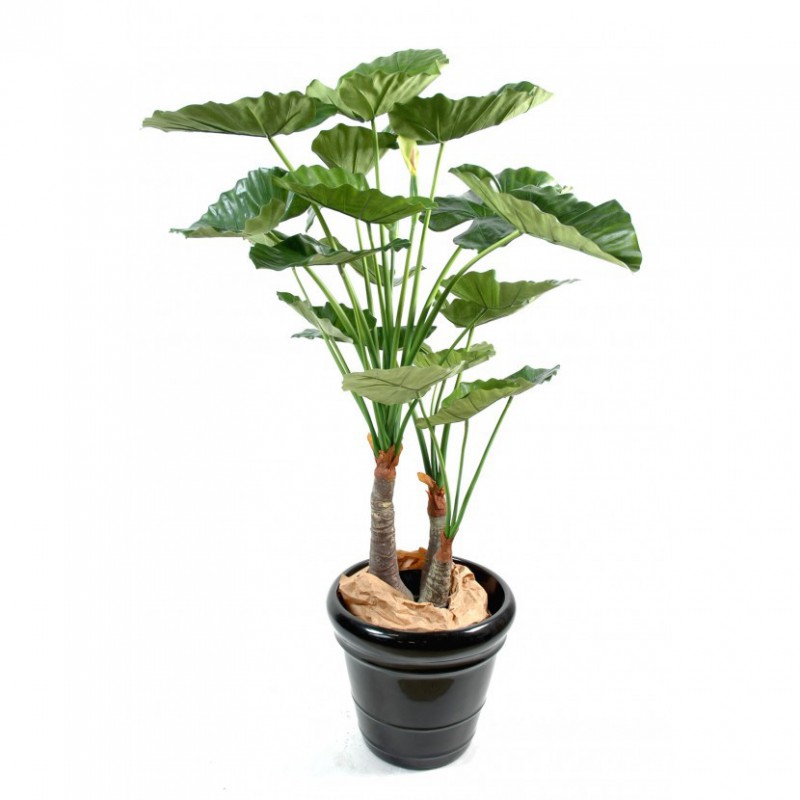 ALOCASIA ARTIFICIEL CALIDORA 3 TRONCS