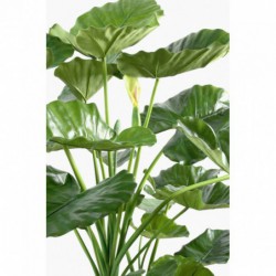 Alocasia Artificiel Calidora 3 Troncs