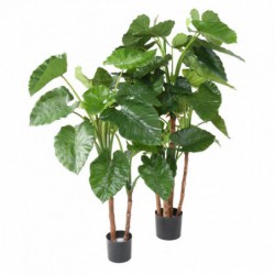 ALOCASIA ARTIFICIEL CALIDORA TB - 170(h)