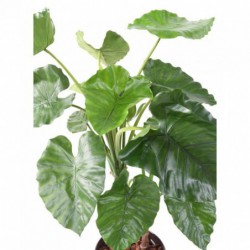 Alocasia Artificiel Calidora Tb - 170(h)