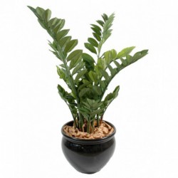 ZAMIA ARTIFICIEL - 110(h)