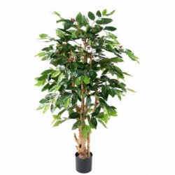 Cafeier Artificiel Fleurs Troncs Noueux - 175(h)