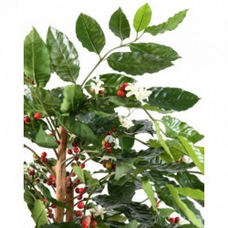 Cafeier Artificiel Fleurs Troncs Noueux - 175(h)